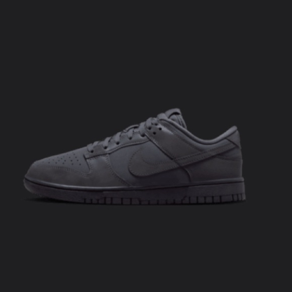 Nike Dunk Low Womens Men’s